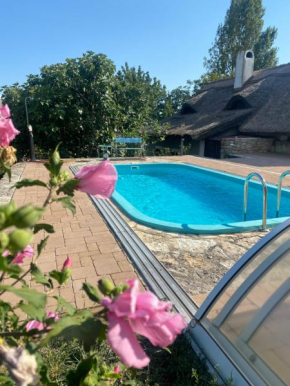 Nyuszifülház Ferienhaus im Weinberg mit Pool